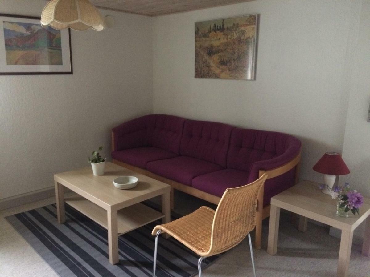 Dalsgaard Apartament Vojens